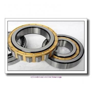 100 mm x 180 mm x 34 mm  FBJ N220 cylindrical roller bearings