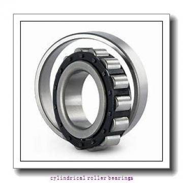 25 mm x 62 mm x 24 mm  NACHI NJ 2305 cylindrical roller bearings