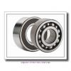 85 mm x 180 mm x 41 mm  SIGMA QJ 317 N2 angular contact ball bearings