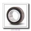 10 mm x 22 mm x 12 mm  ISB GEG 10 C plain bearings #1 small image
