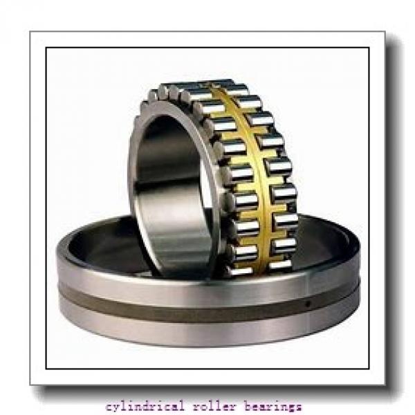 100 mm x 215 mm x 73 mm  NKE NJ2320-E-MA6 cylindrical roller bearings #2 image