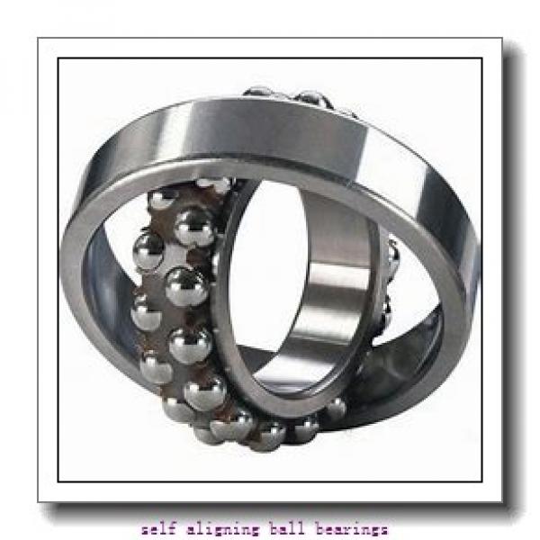 95 mm x 170 mm x 32 mm  FAG 1219-K-M-C3 + H219 self aligning ball bearings #1 image